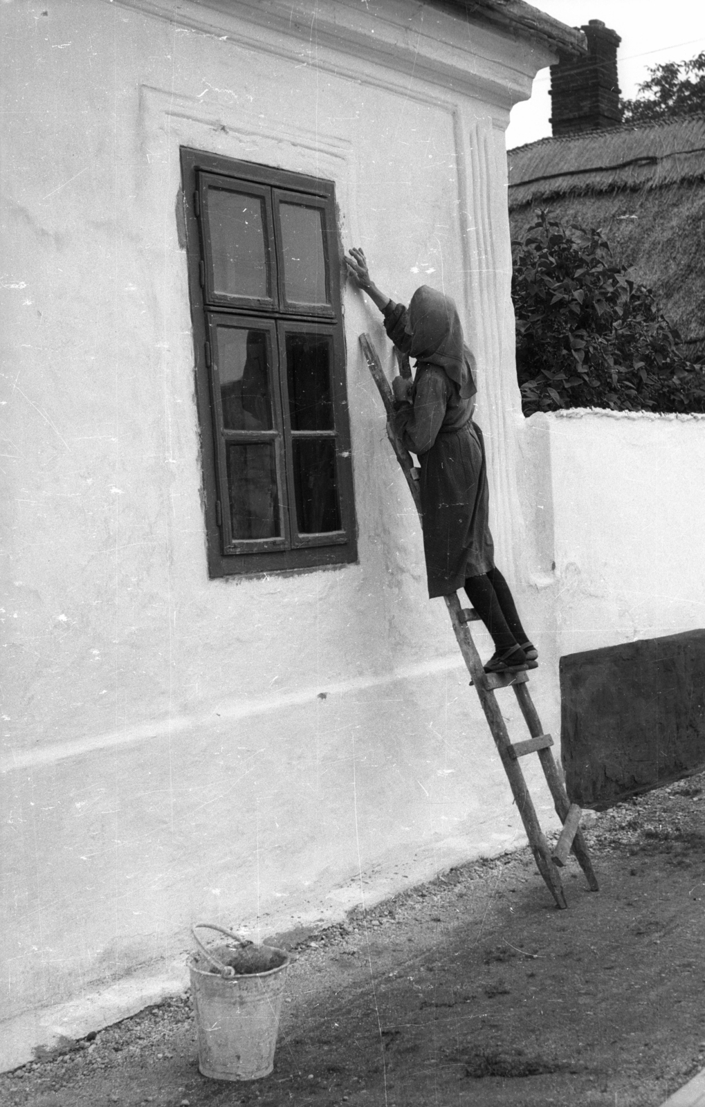 1971, Vizsnyiczai Erzsébet, ladder, bucket, whitewashing, Fortepan #130740