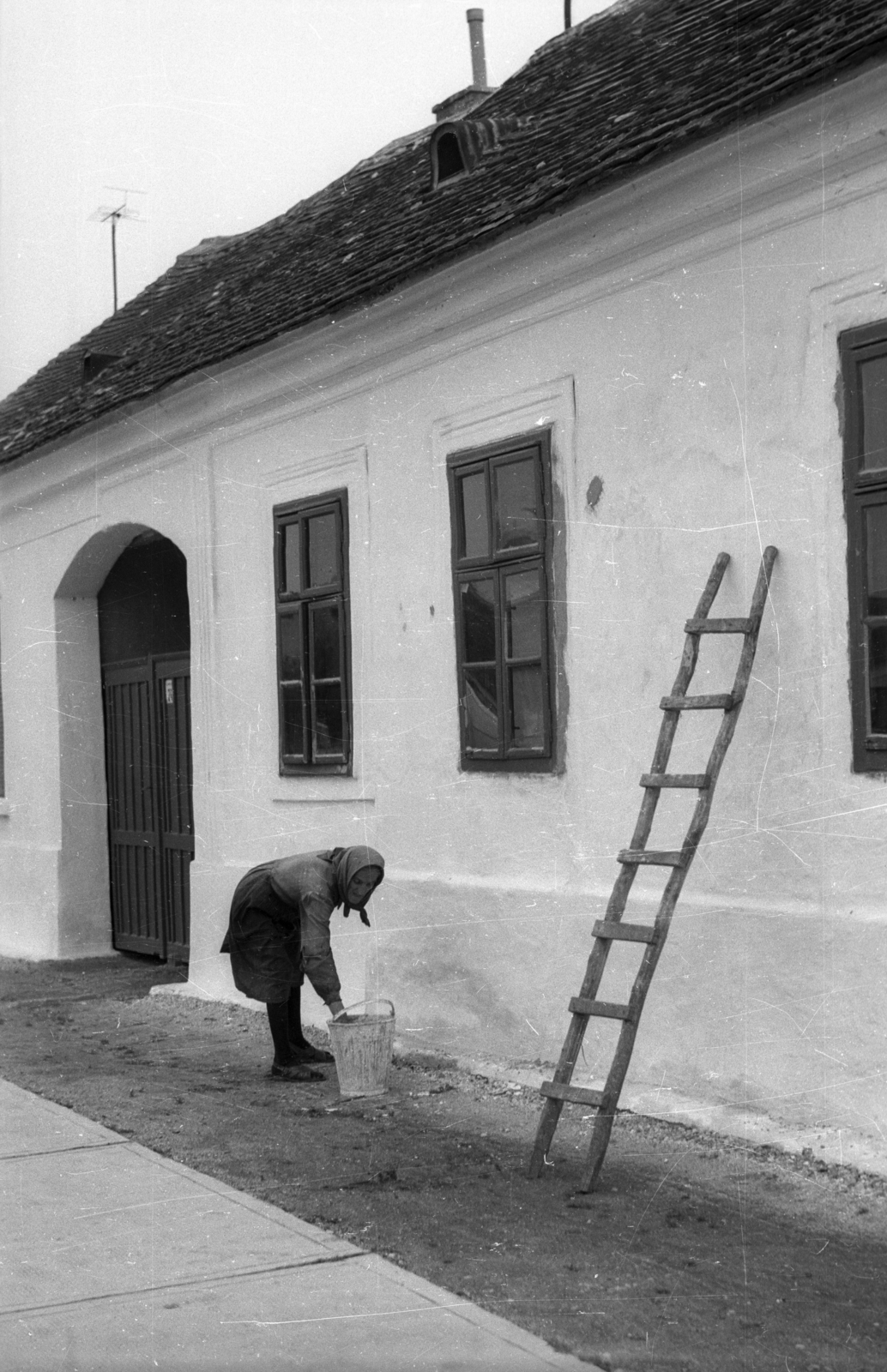 1971, Vizsnyiczai Erzsébet, ladder, bucket, whitewashing, Fortepan #130741