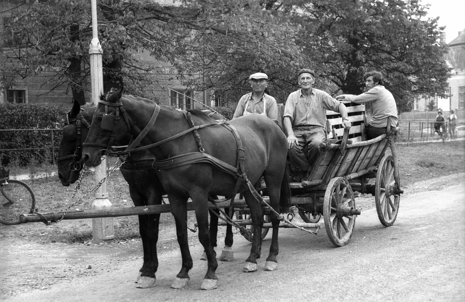 Hungary, 1973, Vizsnyiczai Erzsébet, Horse-drawn carriage, Fortepan #130749
