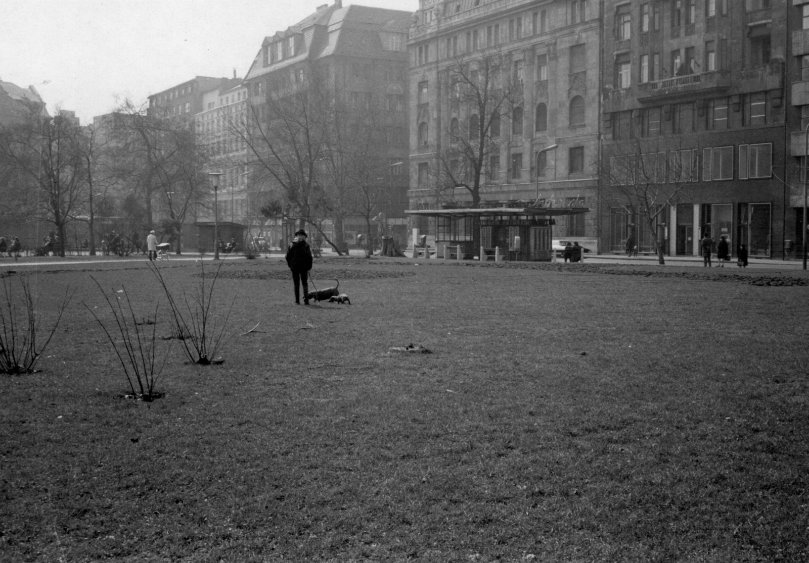 Hungary, Budapest V., Erzsébet (Engels) tér, szemben középen a Harmincad utca - Bécsi utca sarok., 1972, Bokor András, dog, Budapest, walking the dog, Fortepan #130849