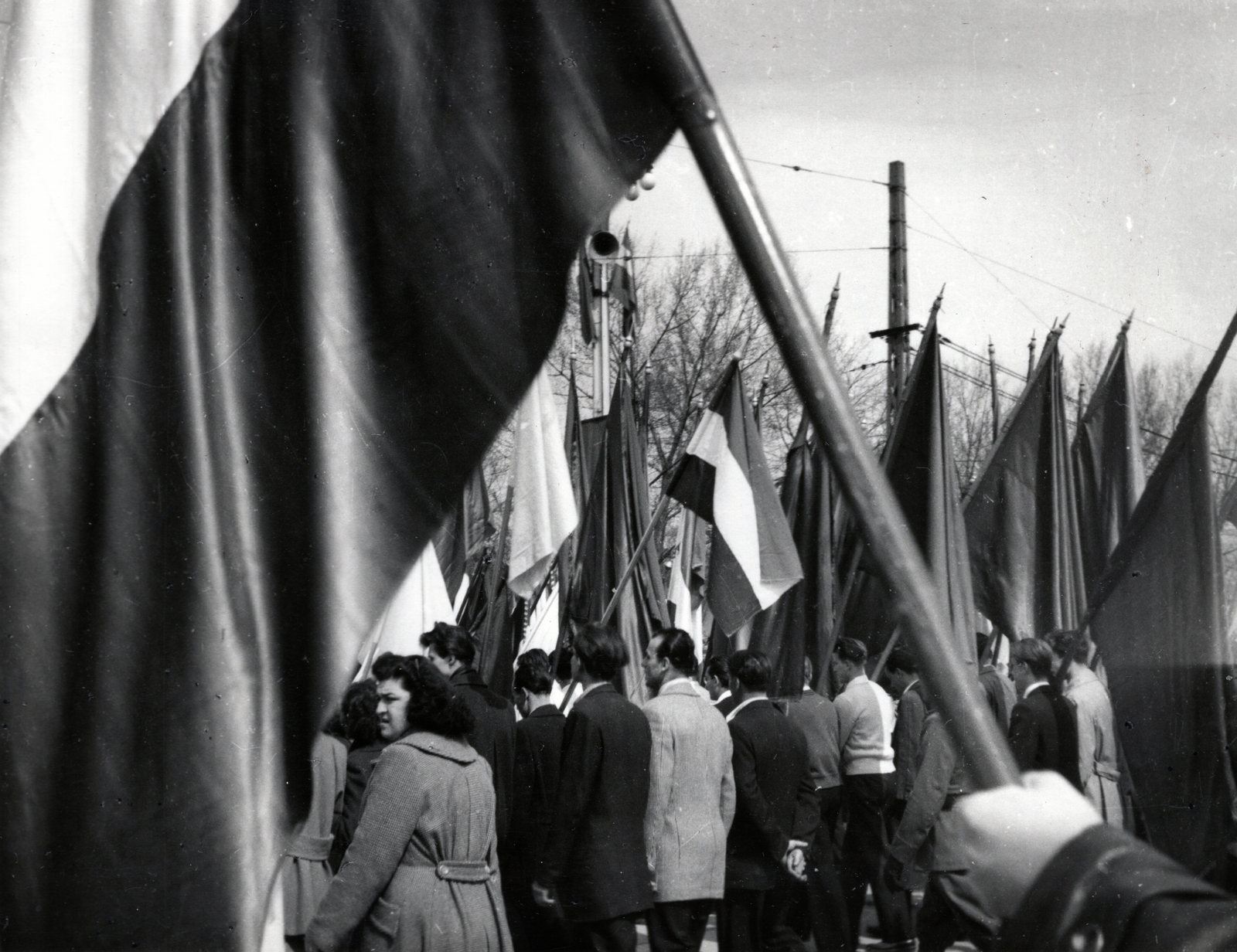 1954, Marics Zoltán, flag, march, Fortepan #131399