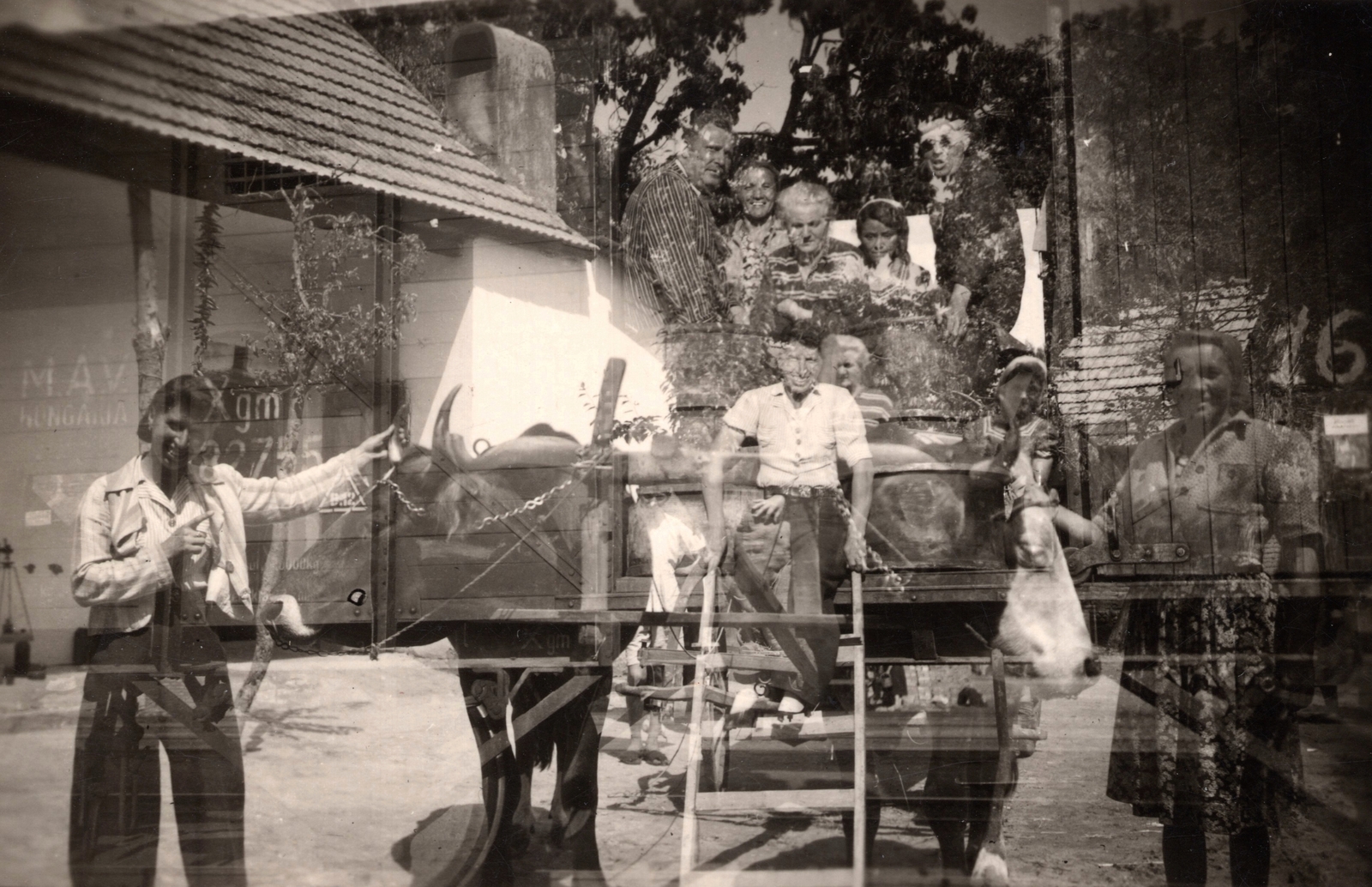 1946, Paczolay család, gentleman, lady, fun, ladder, erroneous photo, Fortepan #131497