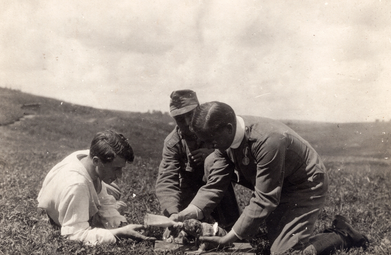 1916, Palotai Klára, First World War, puppy, Fortepan #131581