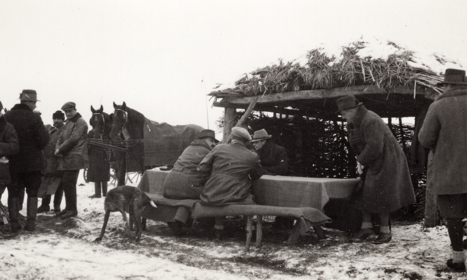 1930, Palotai Klára, horsecloth, relaxation, dog, Fortepan #131782
