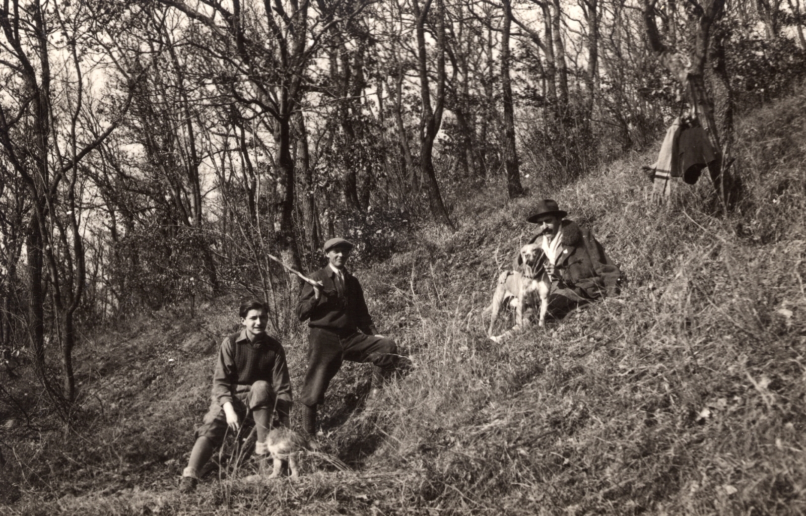 1932, Palotai Klára, excursion, relaxation, dog, hillside, men, Fortepan #131802