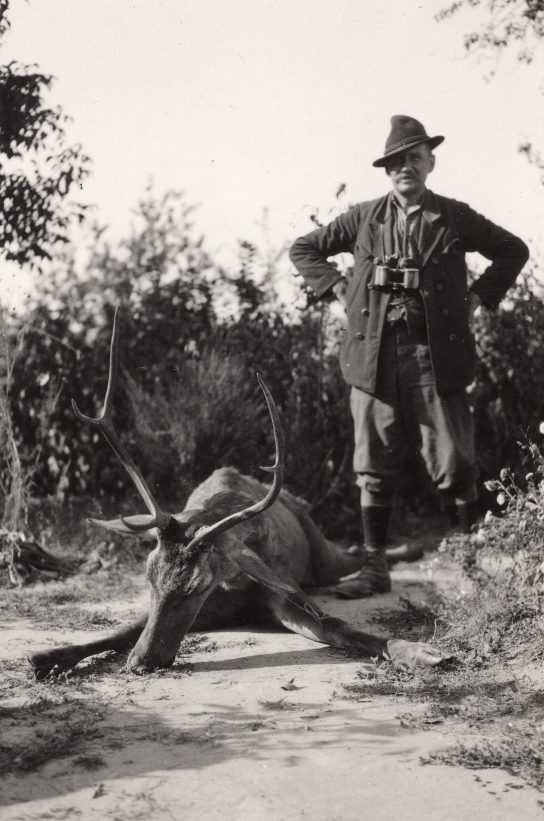 1932, Palotai Klára, hunting, trophy, deer, man, Fortepan #131807