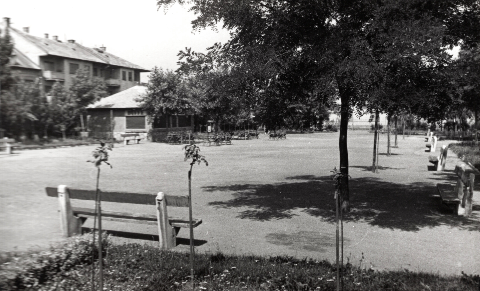 Hungary, Budapest XIV., Rózsavölgyi tér a Rózsavölgyi köz felé nézve., 1953, Samodai József Zuglói Helytörténeti Műhely, Budapest, bench, square, Fortepan #131939