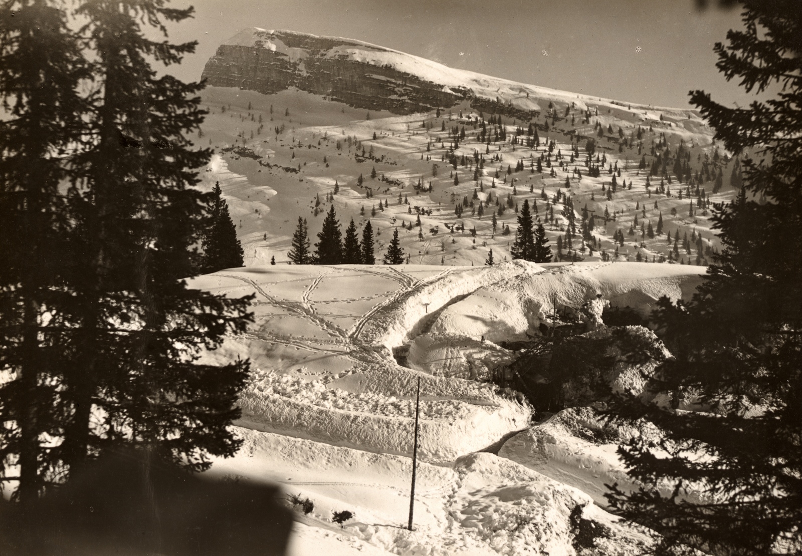 1916, Barják András, First World War, snowy landscape, Fortepan #132129