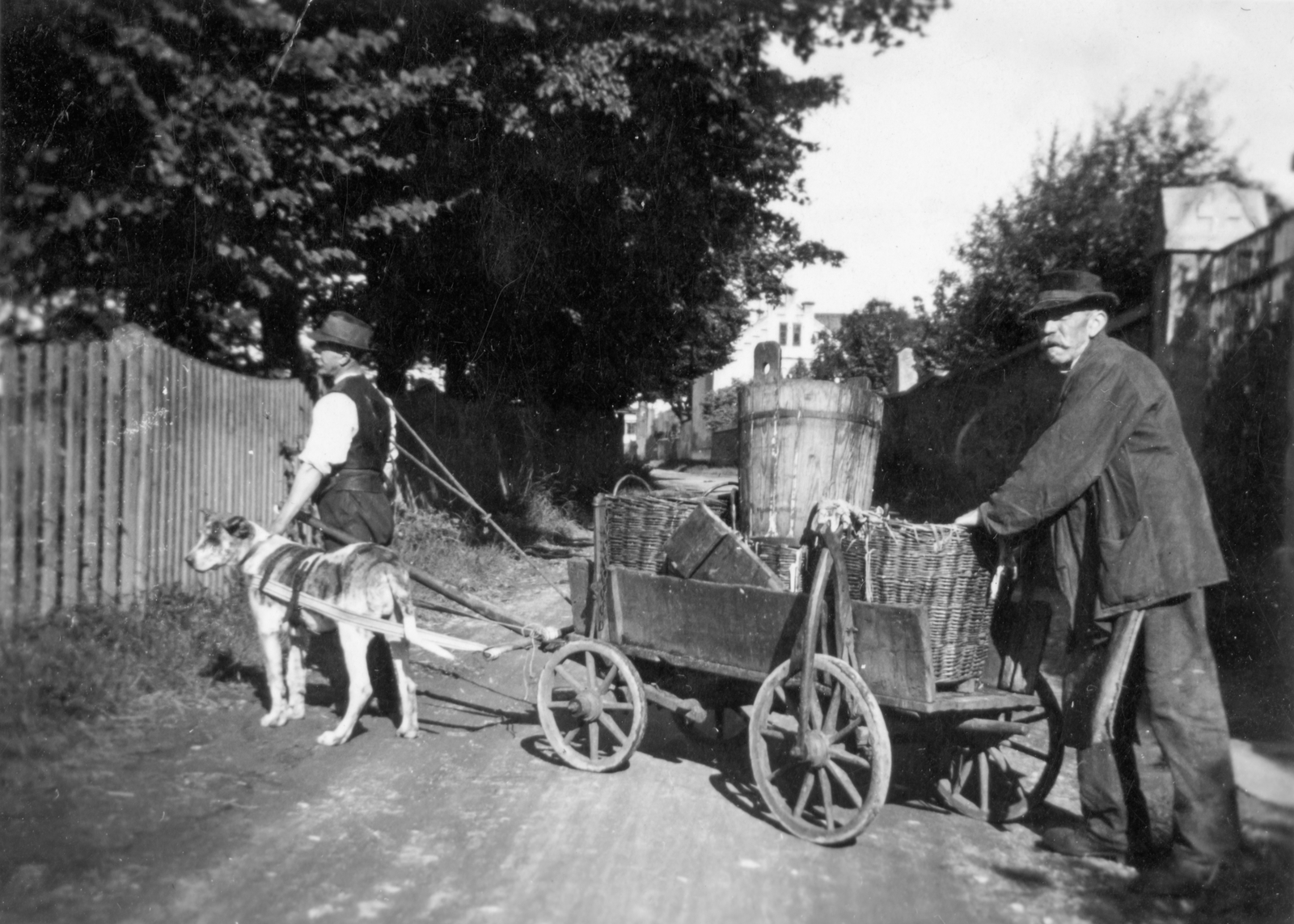 1916, Barják András, dog, basket, dog cart, Fortepan #132134