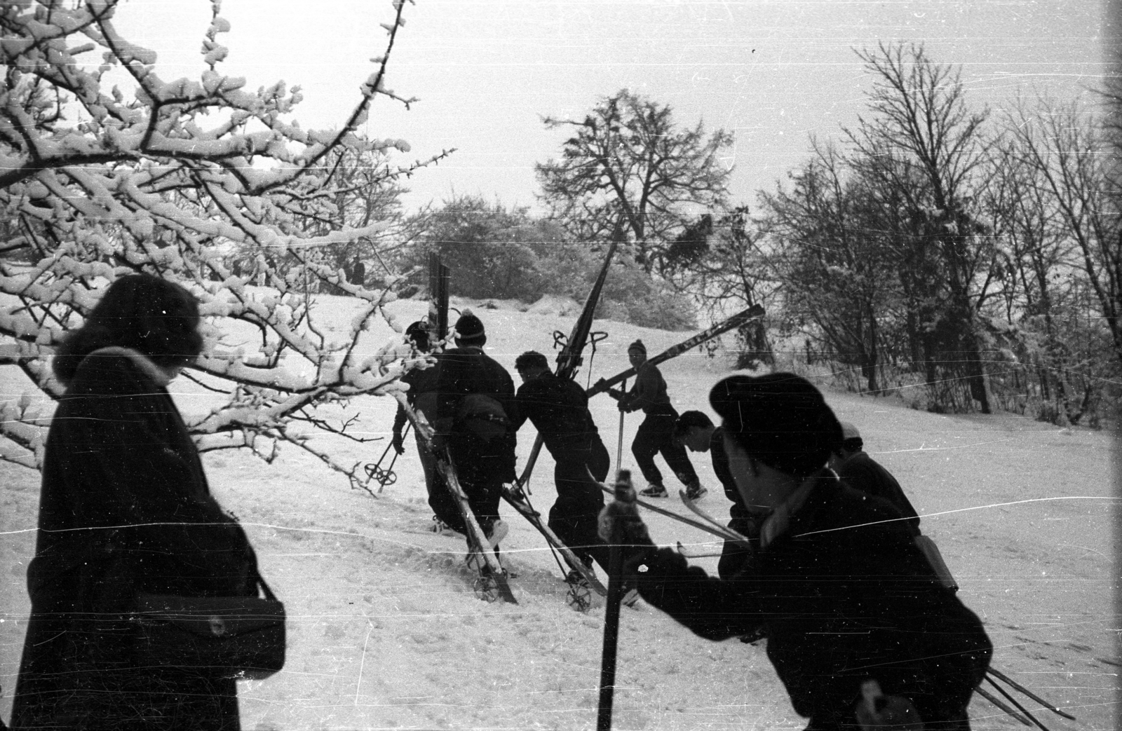 1954, Szent-tamási Mihály, winter, skiing, Fortepan #13223