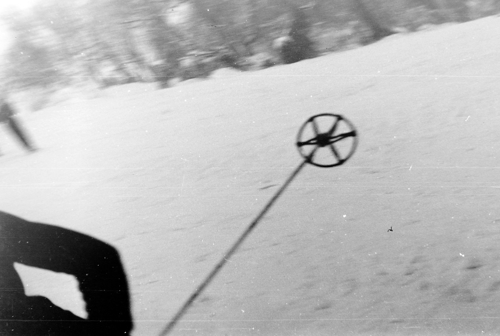 1954, Szent-tamási Mihály, winter, skiing, shadow, Fortepan #13224