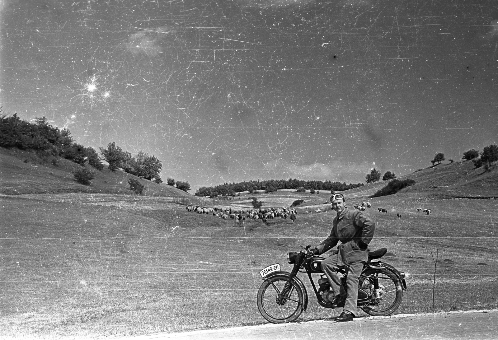 Romania, 1957, Szent-tamási Mihály, motorcycle, man, herd, number plate, DKW-brand, Fortepan #13229
