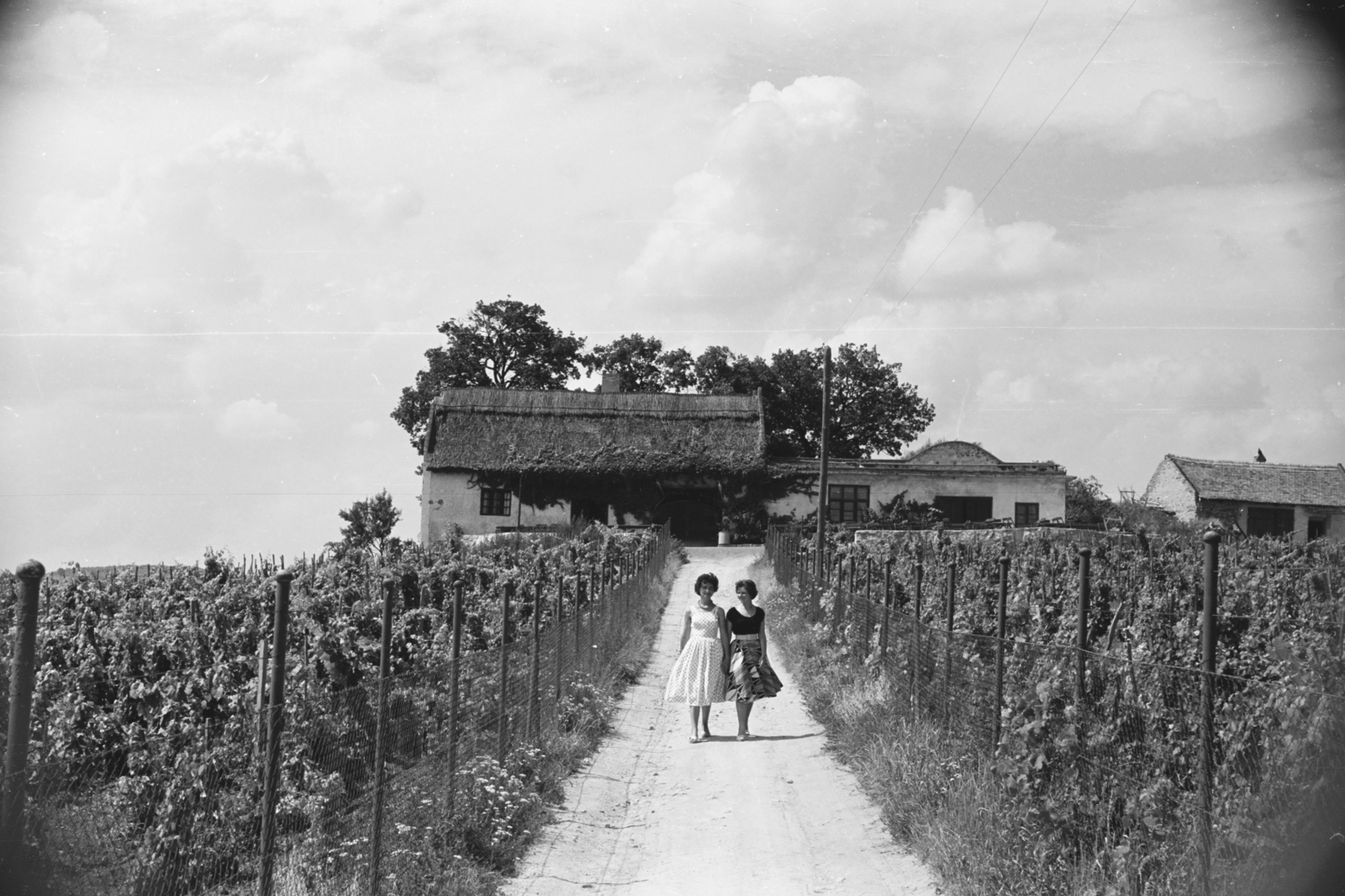 1965, Chuckyeager tumblr, women, thatch roof, grape, double portrait, Fortepan #133810