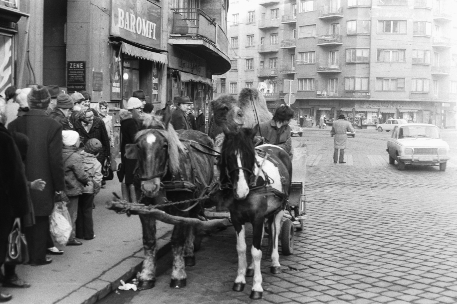 Hungary, Budapest II., Margit körút (Mártírok útja), jobbra a Bem József utca sarok., 1977, Chuckyeager tumblr, camel, Budapest, Fortepan #133927