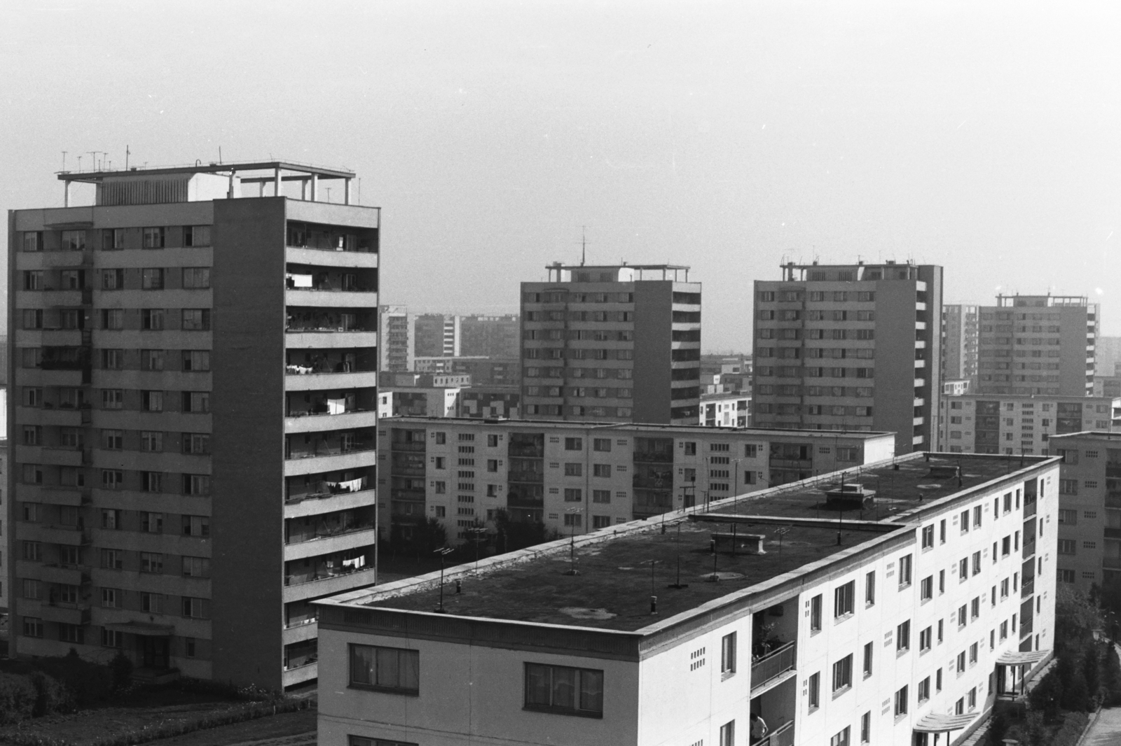 Romania,Transylvania, Cluj-Napoca, Györgyfalvi városnegyed, kilátás a Resinár utca (Aleea Rășinari) 2. felől a Pádis utca (Aleea Padiş) felé, szemben a Fehérvölgy utca (Strada Albac) toronyházai., 1975, Chuckyeager tumblr, blocks, Fortepan #133953