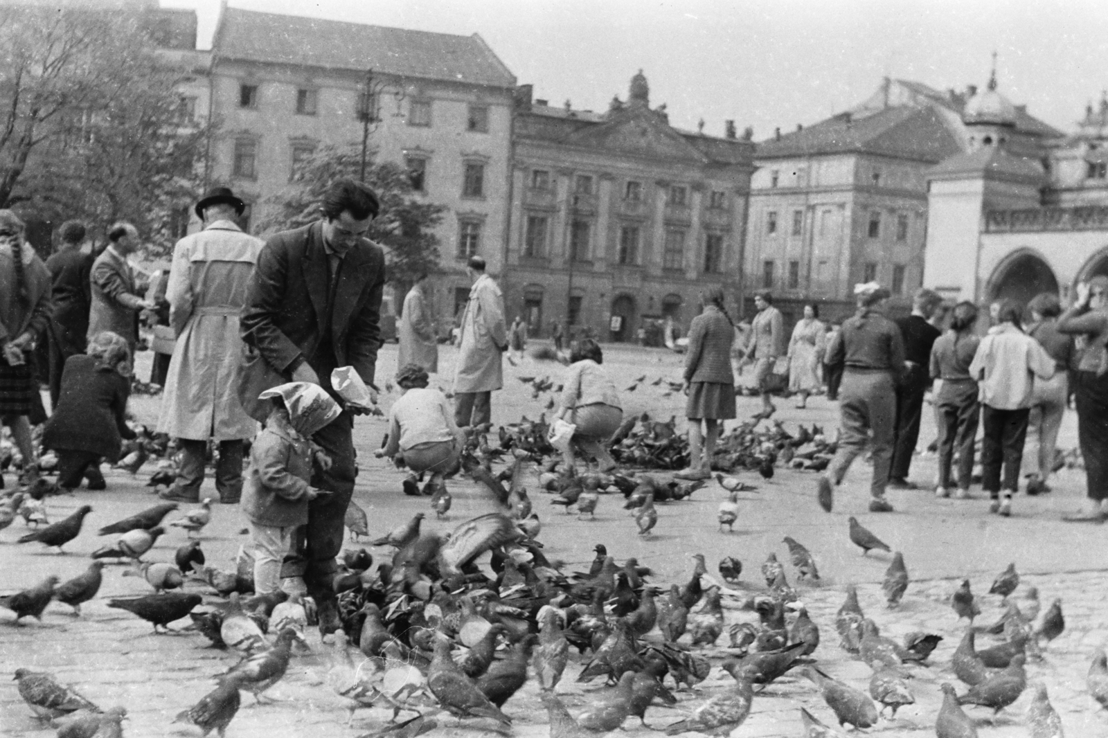 Poland, Kraków, Rynek Glówny a város főtere, jobbra Posztócsarnok (Sukiennice)., 1960, Chuckyeager tumblr, bird feeding, Fortepan #134067