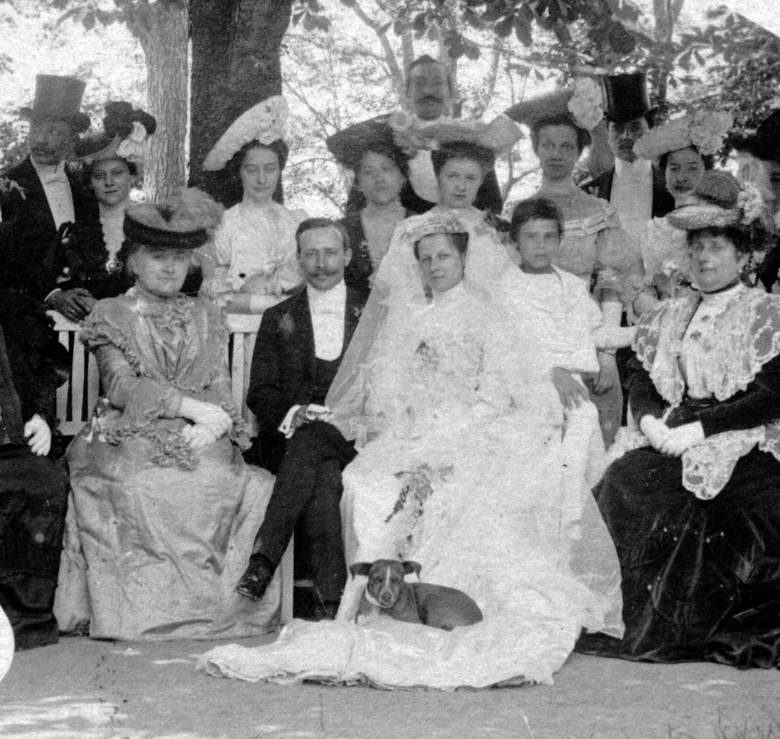 1910, Torjay Valter, fashion, wedding ceremony, dog, tableau, lace, Fortepan #13420