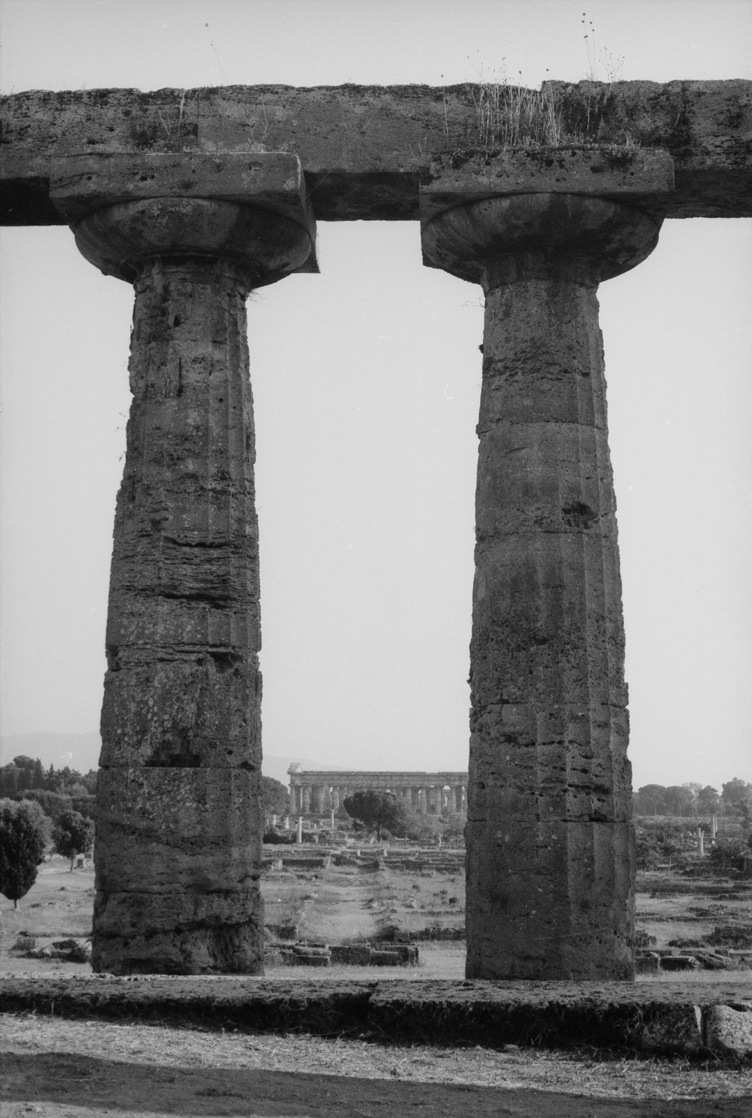 Olaszország, Capaccio, Paestum romváros, Athéné temploma és a távolban Poszeidón temploma., 1971, Chuckyeager tumblr, Fortepan #134250