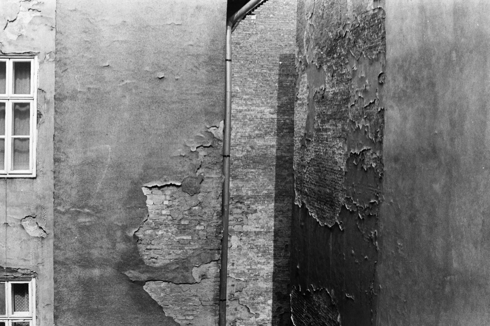 1972, Chuckyeager tumblr, wall, Fortepan #134283