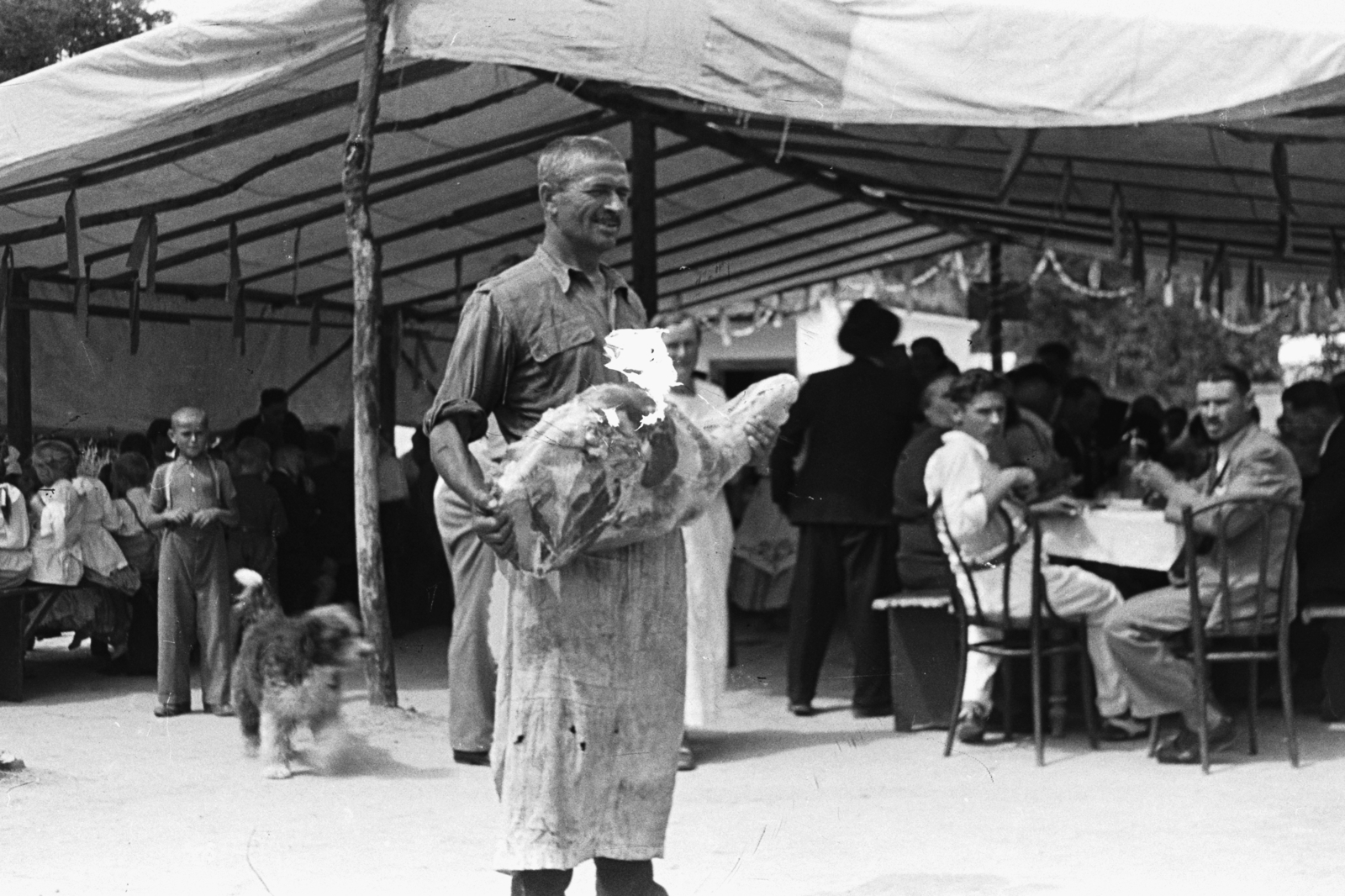 1952, Chuckyeager tumblr, dog, tonett, tent, comb, meat apron, meal, Fortepan #134321