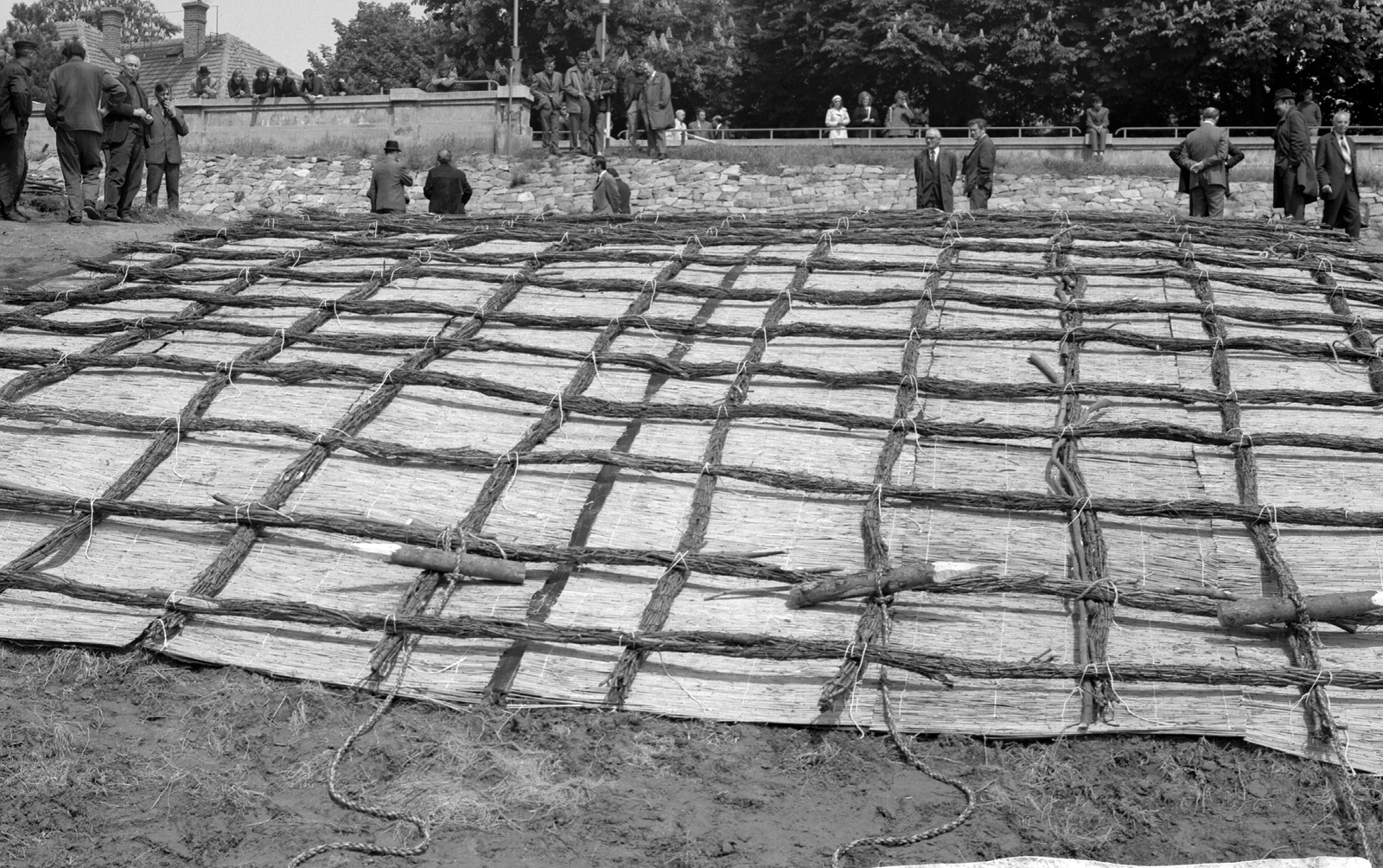 Hungary, Szolnok, a Tisza-part megerősítése, fenn a Tiszaparti sétány és a Tisza park gesztenyefái., 1971, Csíkos Ferenc, Fortepan #134515