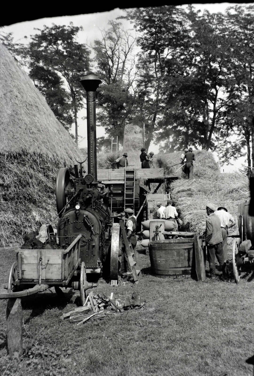 1940, Fortepan/Album018, Steam-engine, threshing machine, threshing, traction engine, Fortepan #134640