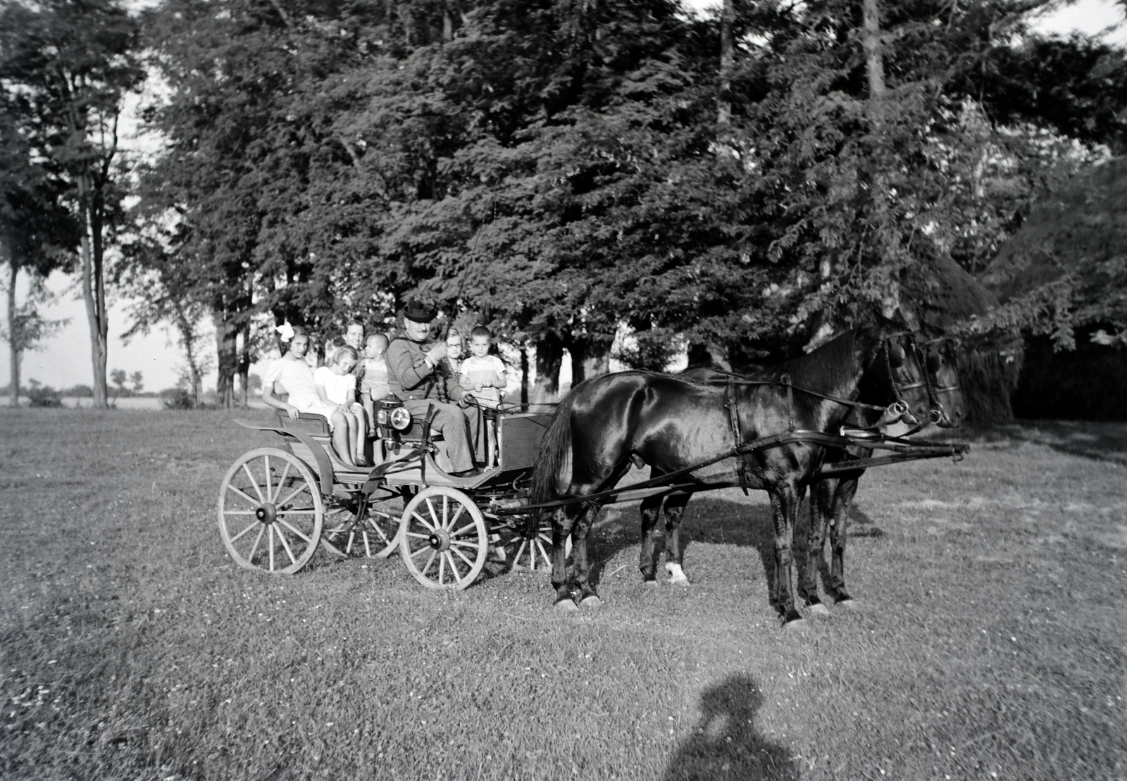 Magyarország, Bóly, (Németbóly), Montenuovo Nándor (Alfred Ferdinand von Montenuovo) herceg gyerekeivel., 1940, Fortepan/Album018, fogat, Fortepan #134652