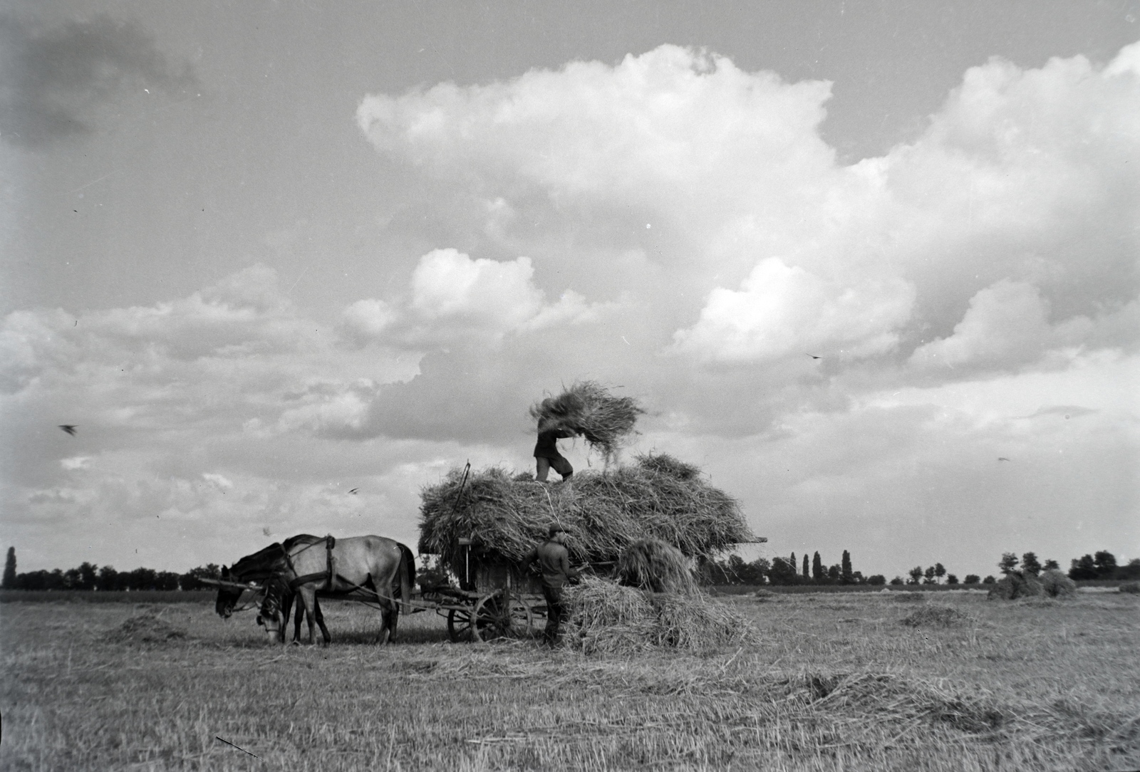 1940, Fortepan/Album018, chariot, hay, Fortepan #134664