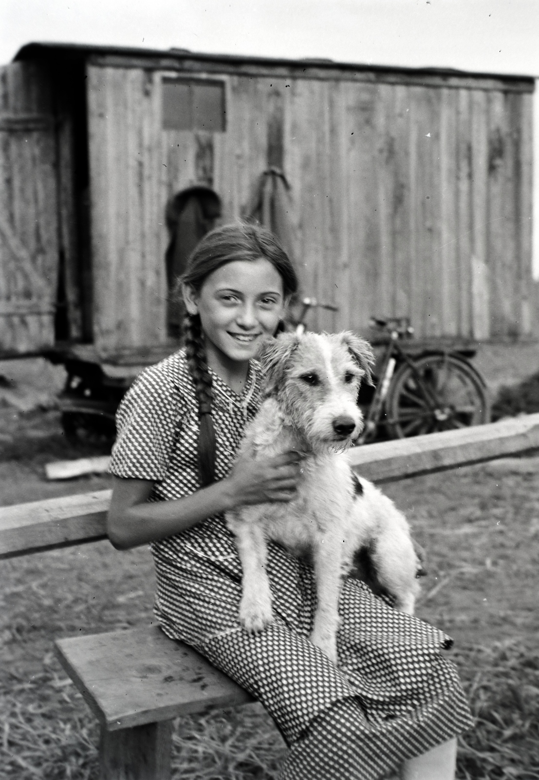 1941, Fortepan/Album018, dog, long-haired, caravan, fox terrier, Fortepan #134716