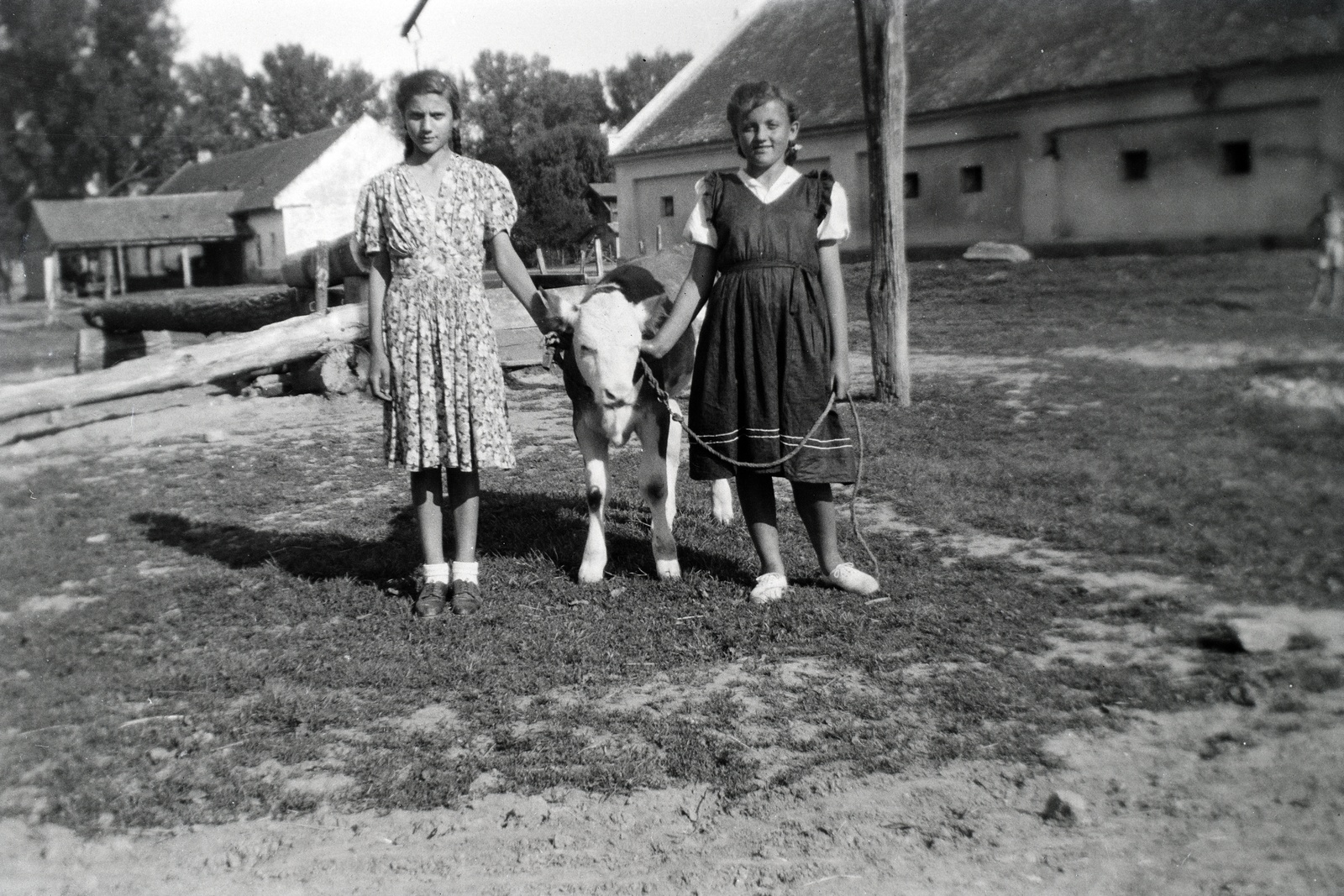 1943, Lőrinczi Ákos, poverty, cattle, water trough, shadoof, girl, servant, farm, poverty, Fortepan #134875