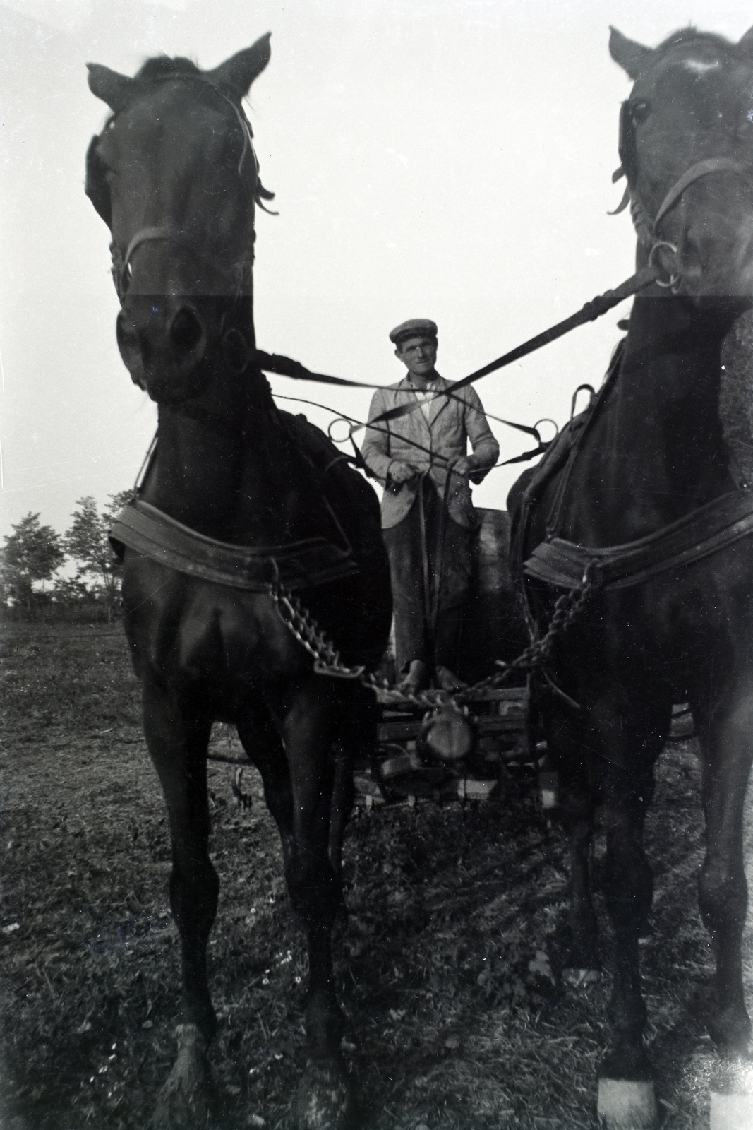 1943, Lőrinczi Ákos, chariot, Fortepan #134877