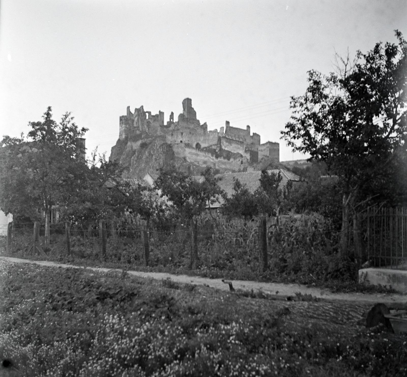 Slovakia, Beckov, a vár romjai., 1949, Lőrinczi Ákos, castle ruins, Fortepan #135000