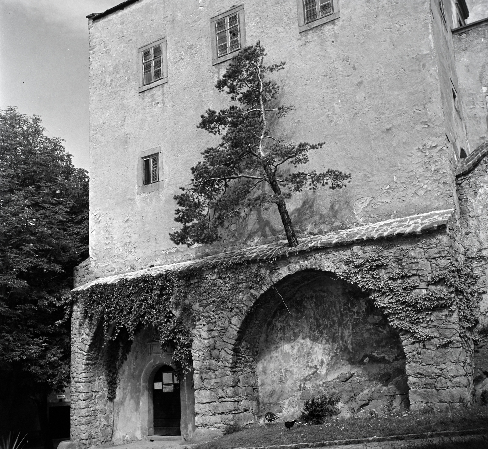 Czech Republik, Buchlovice, Buchlov vár., 1949, Lőrinczi Ákos, Czechoslovakia, castle, wood, Fortepan #135012