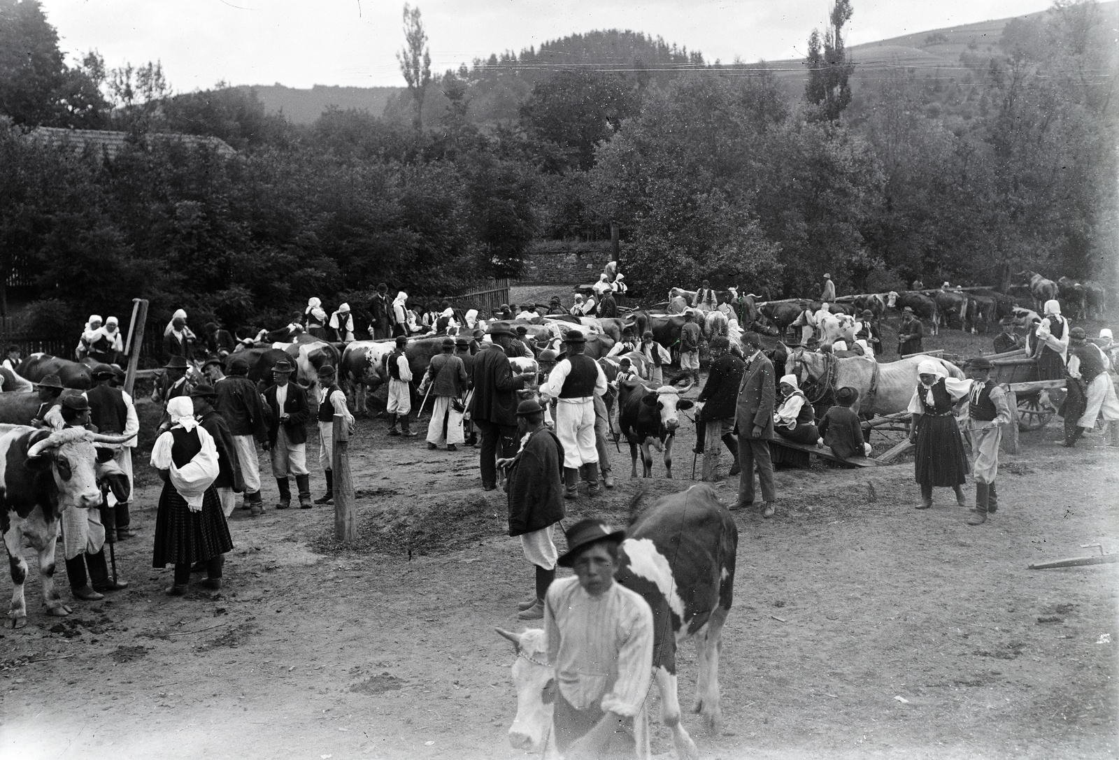 Szlovákia, Verbóc, a község főtere marhavásár alkalmával., 1920, Lőrinczi Ákos, állatvásár, Fortepan #135063