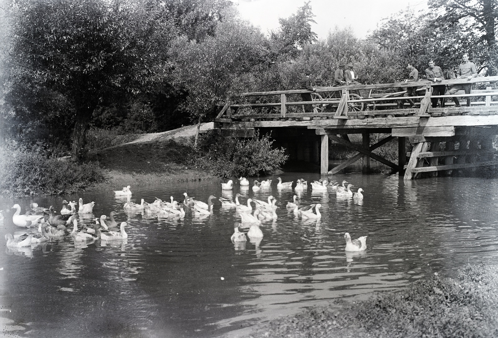 Slovakia, Vrbovce, a Teplica folyó hídja., 1920, Lőrinczi Ákos, wooden bridge, poultry, chariot, goose, Fortepan #135066