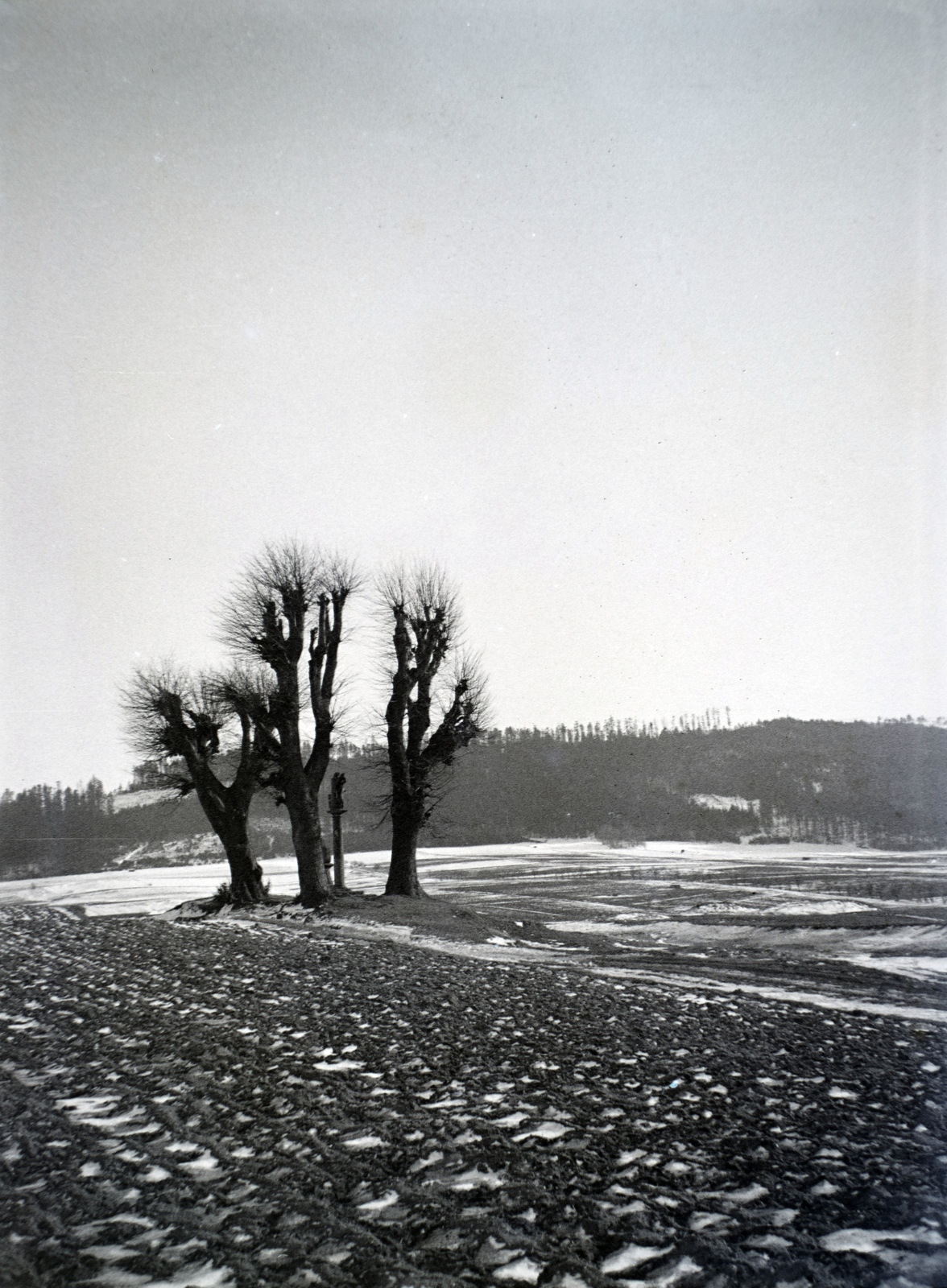 Czech Republik, Nový Jičín, Na Drážkách ulice, Szent Rókus és Szent Sebestyén szobor (Sousoší sv. Rocha a Šebestiána)., 1932, Lőrinczi Ákos, Fortepan #135229