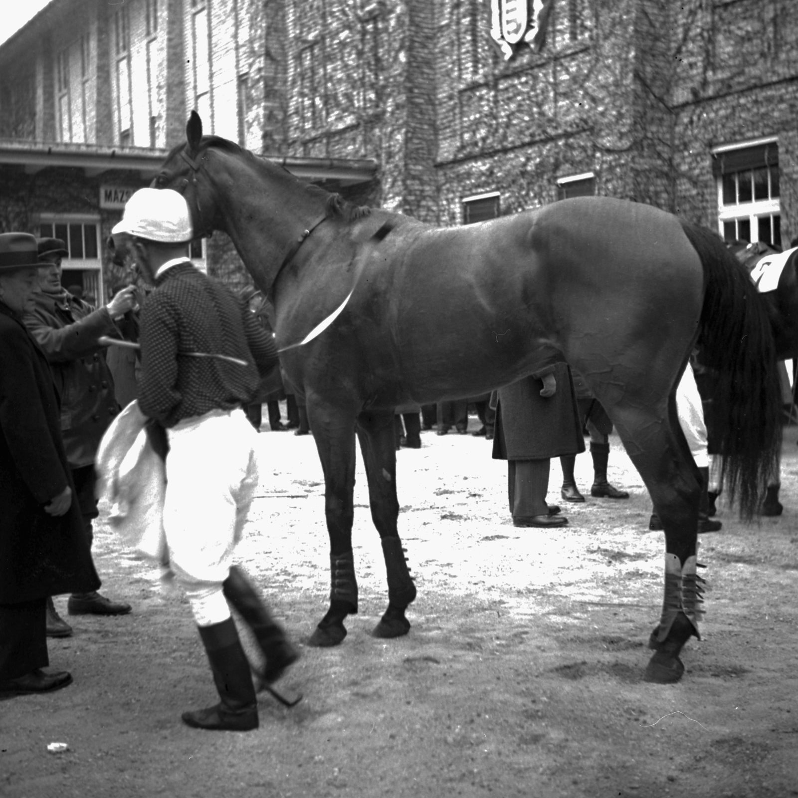 Hungary, Budapest IV., Káposztásmegyeri lóversenypálya, balra a mázsaház., 1937, Kölcsey Ferenc Dunakeszi Városi Könyvtár / Petanovits fényképek, horse race, jockey, Budapest, Fortepan #135351