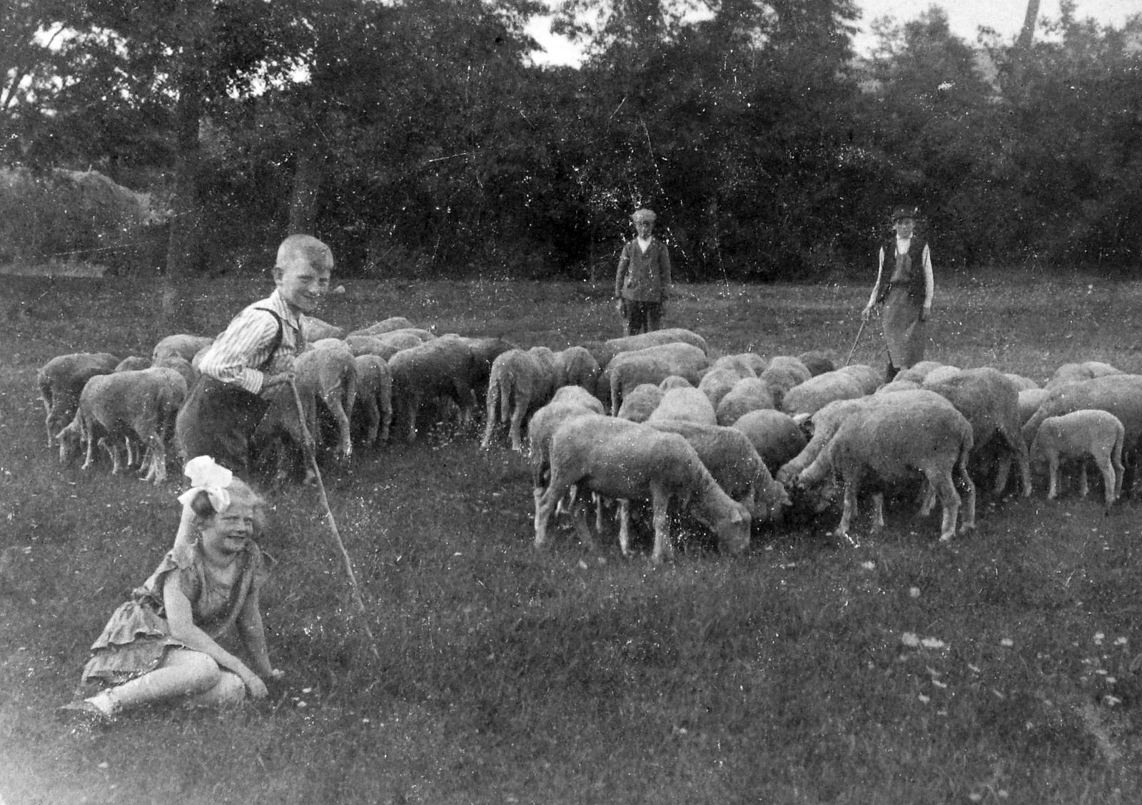 1936, Fortepan, sheep, herd, herdsboy, Fortepan #13548