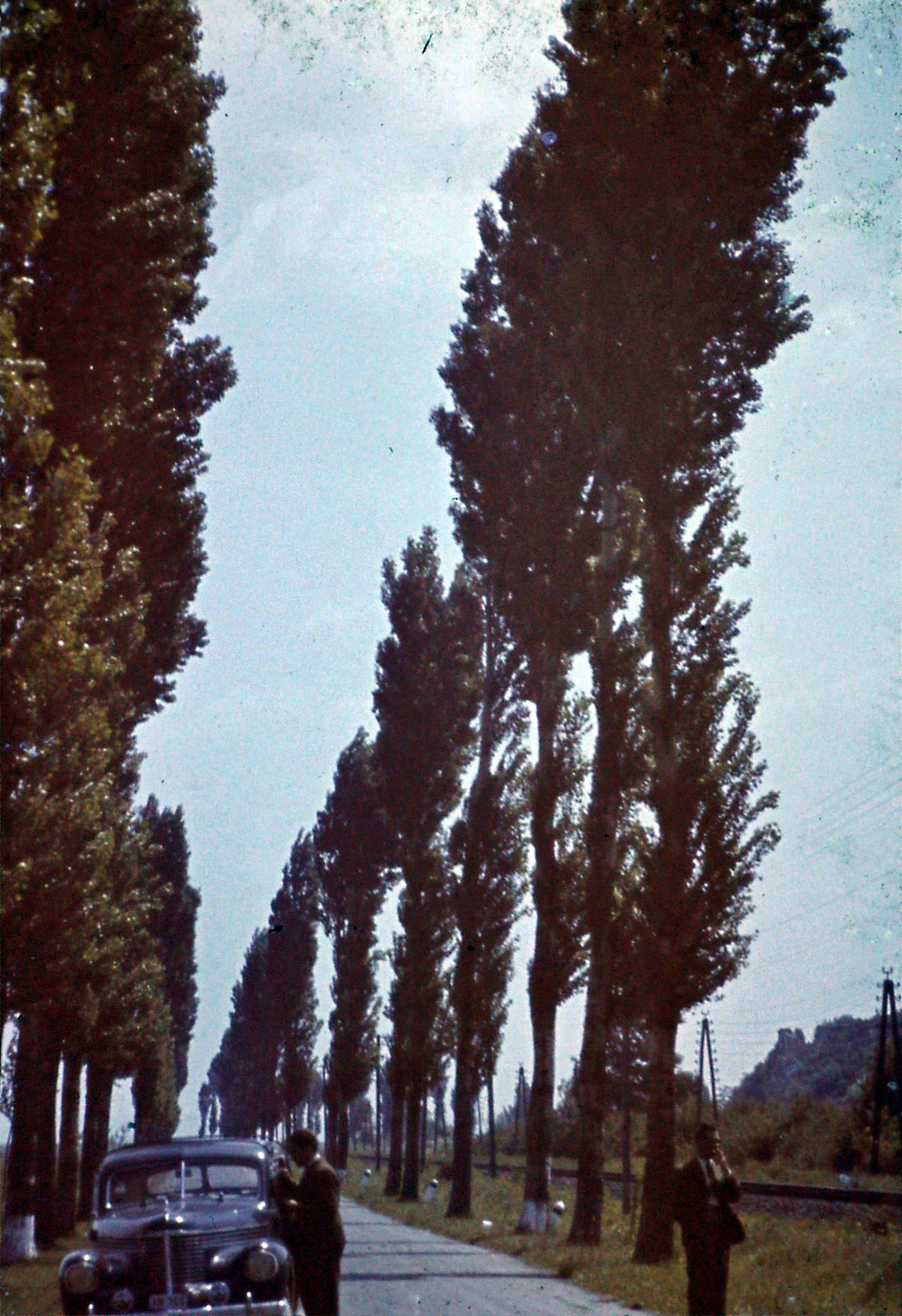 1942, Szabó Viktor, alley, Fortepan #135624