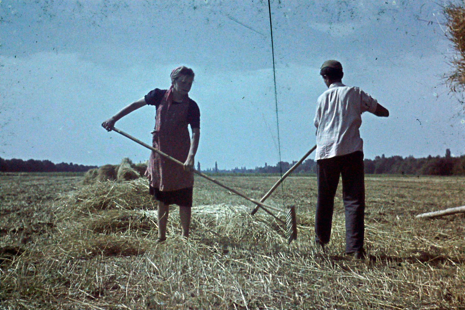 1942, Szabó Viktor, colorful, agriculture, harvest, rake, straw, Fortepan #135629