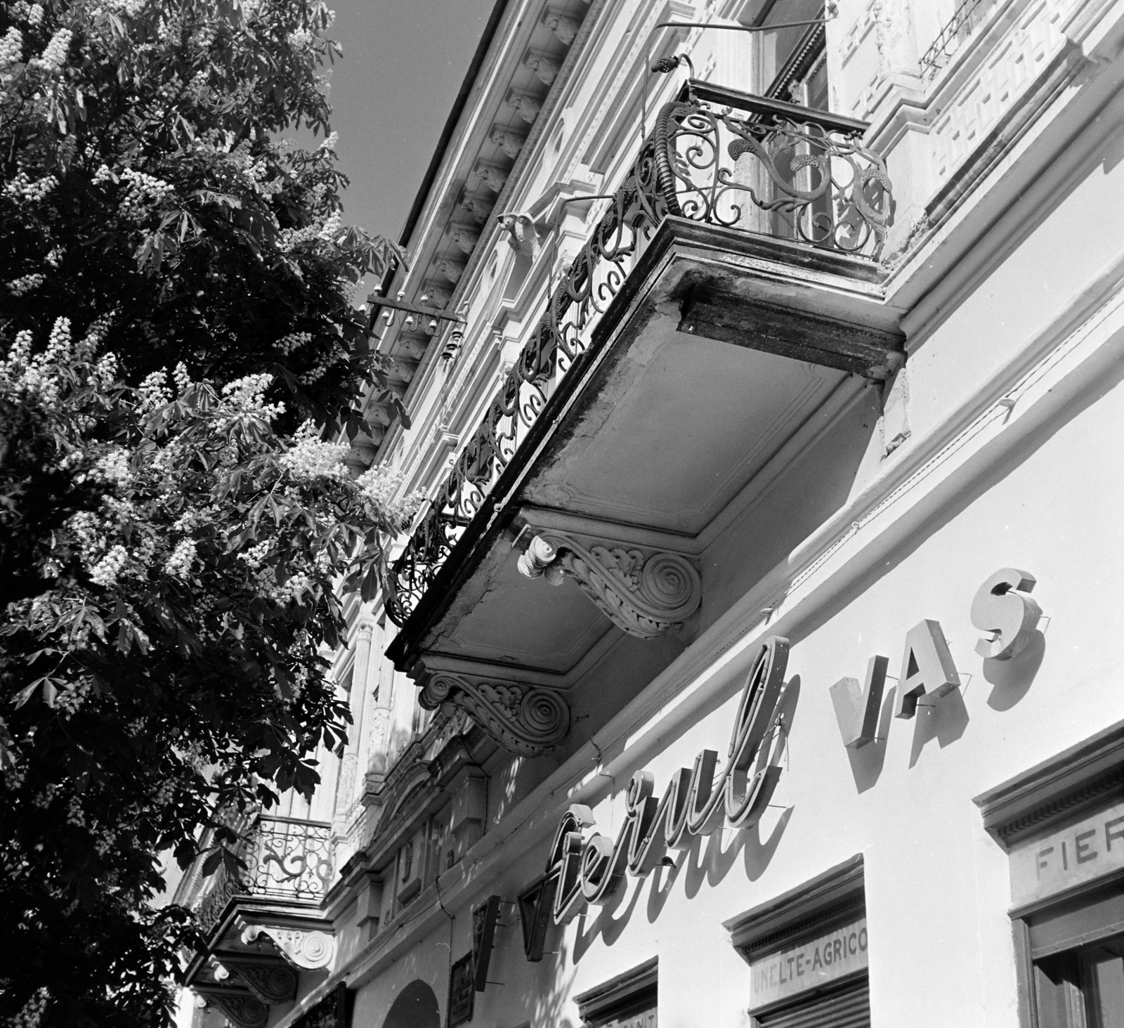 Románia,Erdély, Beszterce, Strada Liviu Rebreanu 22., 1962, Sütő András örökösei, Új Élet szerkesztőség, Fortepan #135755