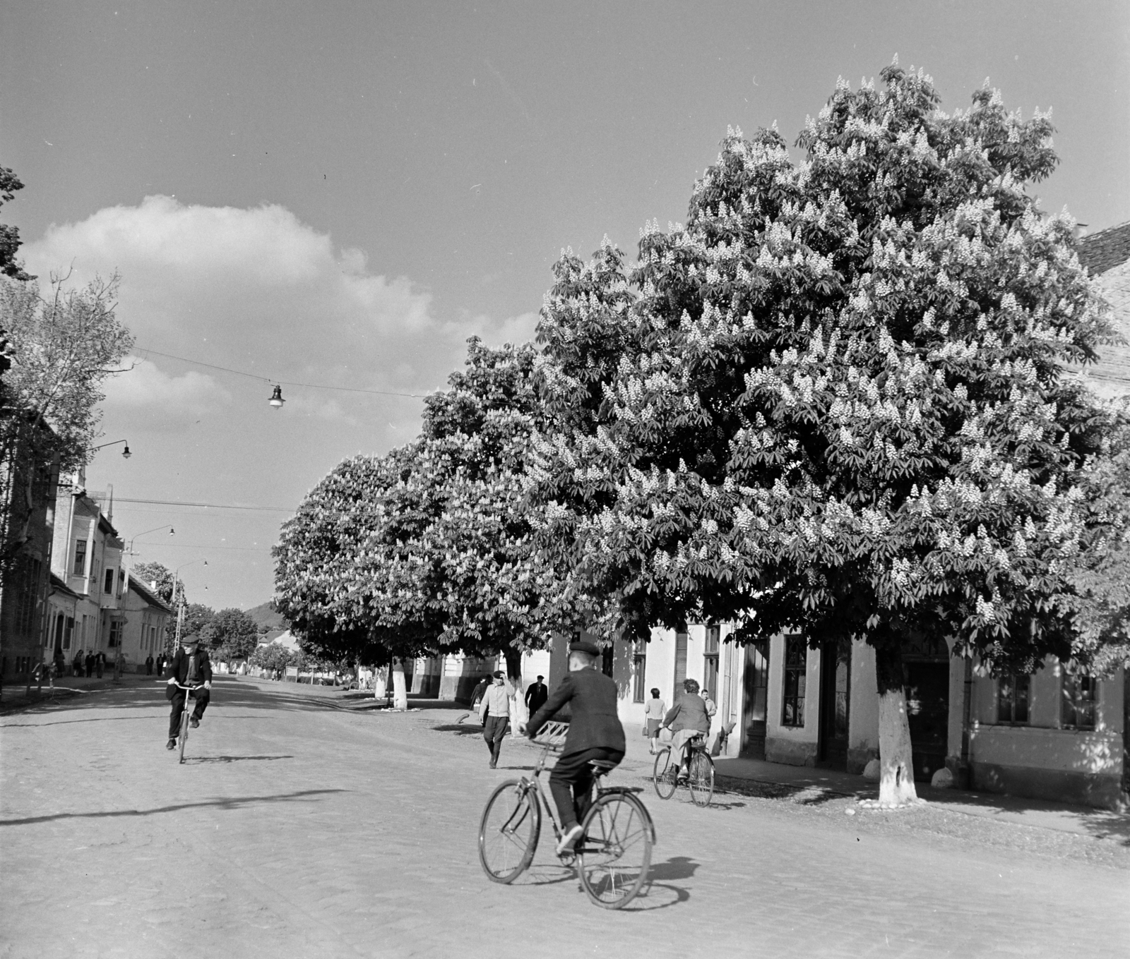 Romania,Transylvania, Bistrița, Strada General Grigore Balan a Piața Unirii felöl nézve, 1962, Sütő András örökösei, Új Élet szerkesztőség, bicycle, Fortepan #135756