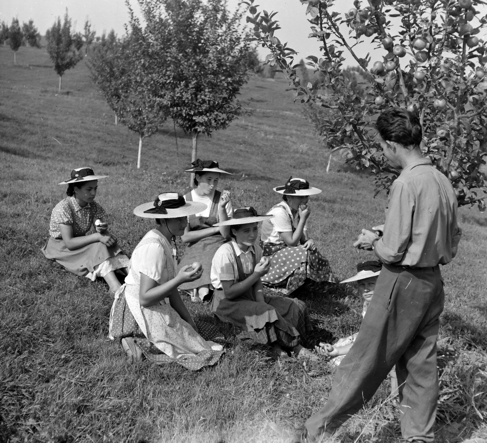 Románia,Erdély, Zselyk, kollektív gazdaság., 1962, Sütő András örökösei, Új Élet szerkesztőség, pöttyös ruha, szalmakalap, gyümölcs, Fortepan #135785