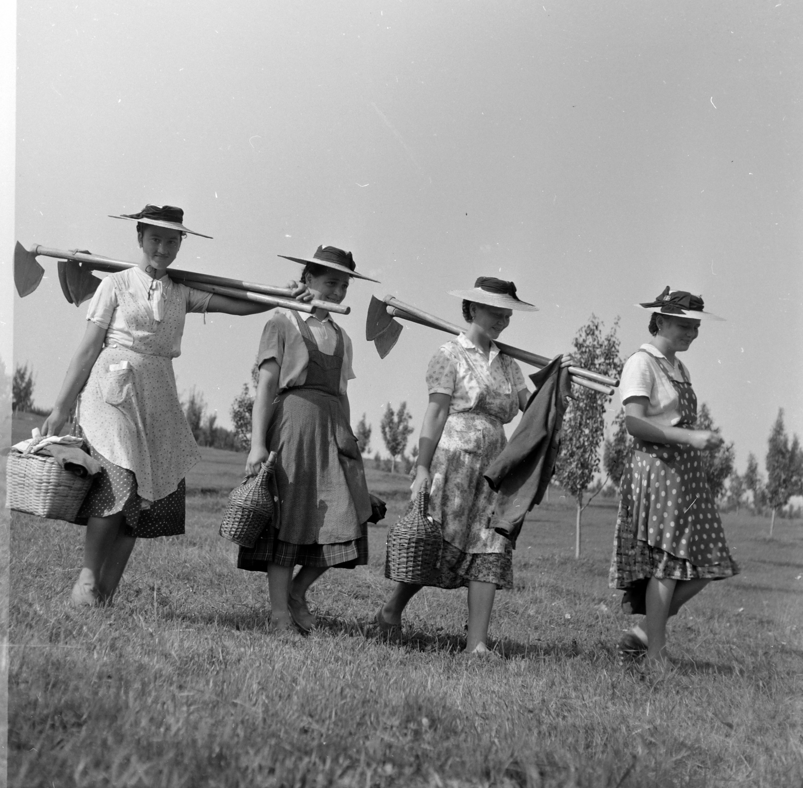 Románia,Erdély, Zselyk, kollektív gazdaság., 1962, Sütő András örökösei, Új Élet szerkesztőség, nagyság szerint, libasor, pöttyös ruha, kötény, szerszám, szalmakalap, kosár, kapa, Fortepan #135786