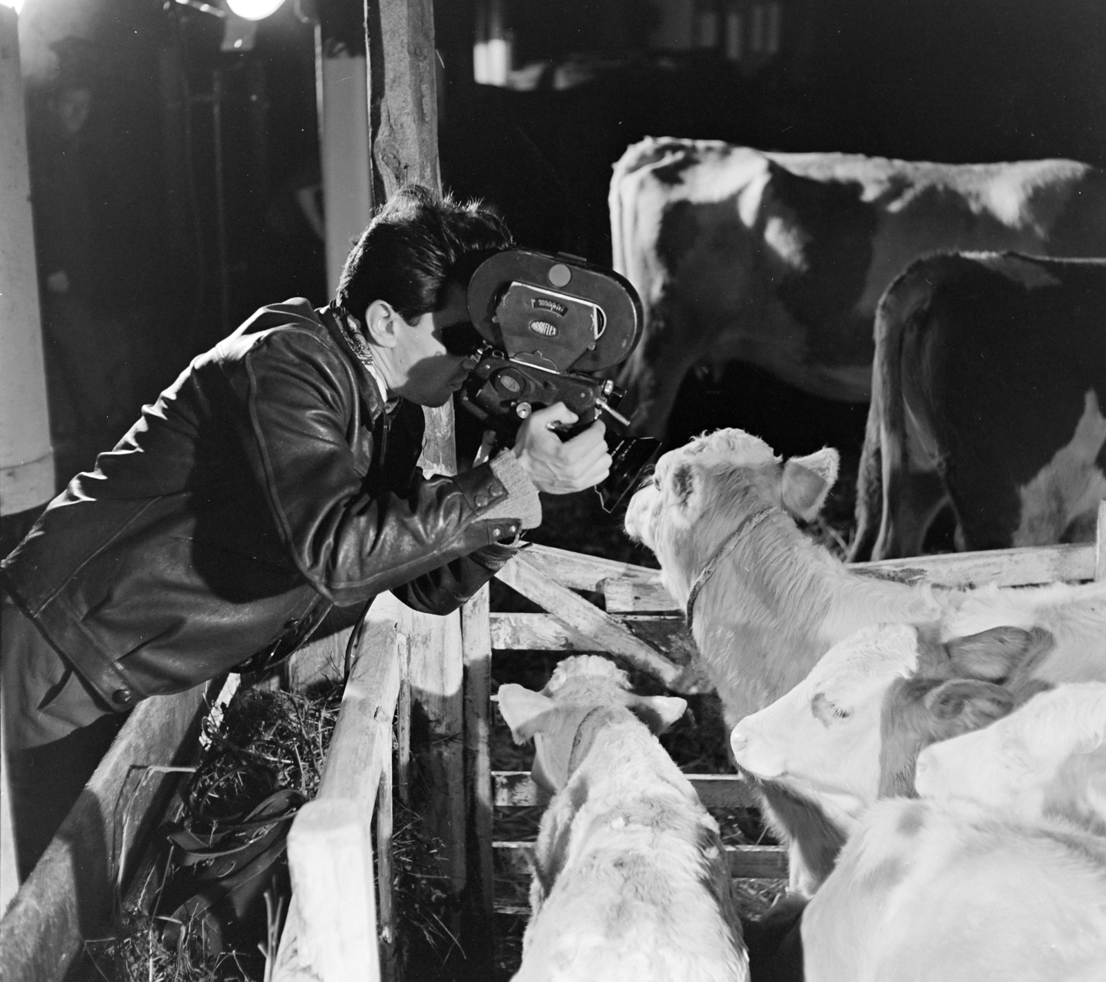 Románia,Erdély, Etéd, dokumentumfilm készül a November 7. kollektív gazdaságról. Az operatőr Olasz Tibor., 1962, Sütő András örökösei, Új Élet szerkesztőség, filmkamera, Fortepan #135847