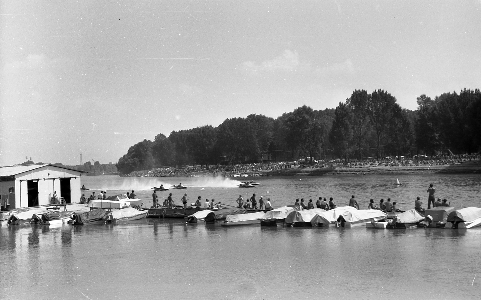 Magyarország, Szeged, motorcsónak verseny a Tiszán, háttérben a partfürdő., 1977, Varga János, verseny, motorcsónak, Fortepan #135925