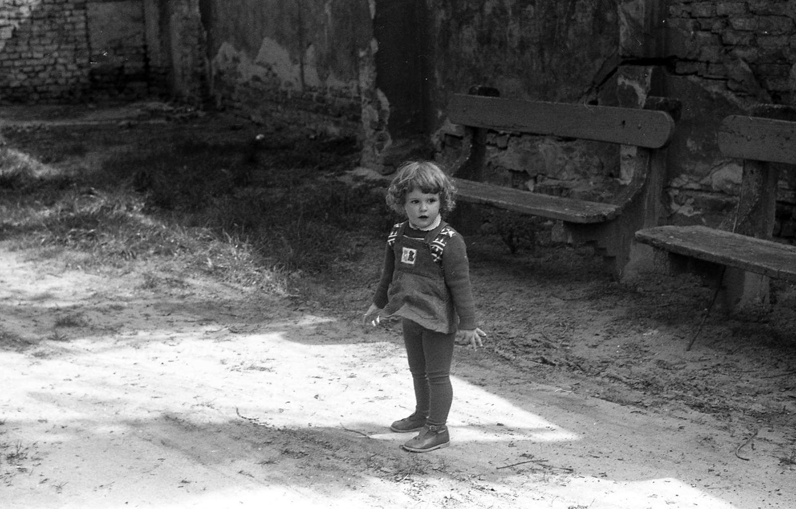 1981, Varga János, girl, bench, Fortepan #135999