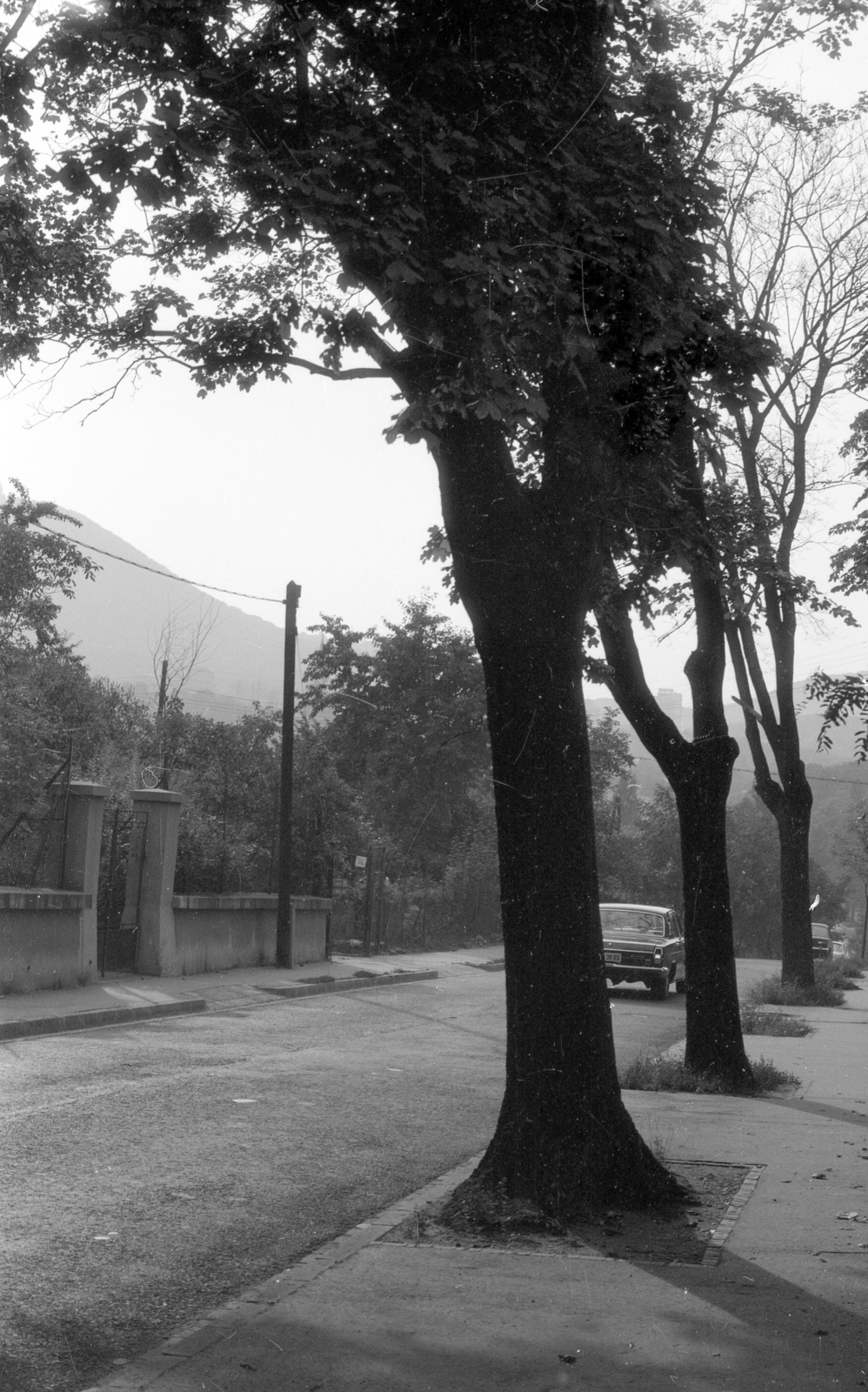 Hungary, Budapest XII., Virányos út, balra a 40. és 38. szám, háttérben a János-hegy és az Erzsébet-kilátó., 1978, Fortepan/Album020, Budapest, Fortepan #136027