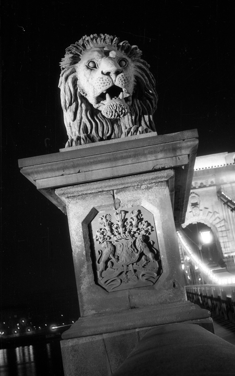 Magyarország, Budapest I., Széchenyi Lánchíd budai hídfő., 1973, Fortepan/Album020, éjszaka, kőoroszlán, Budapest, Fortepan #136080