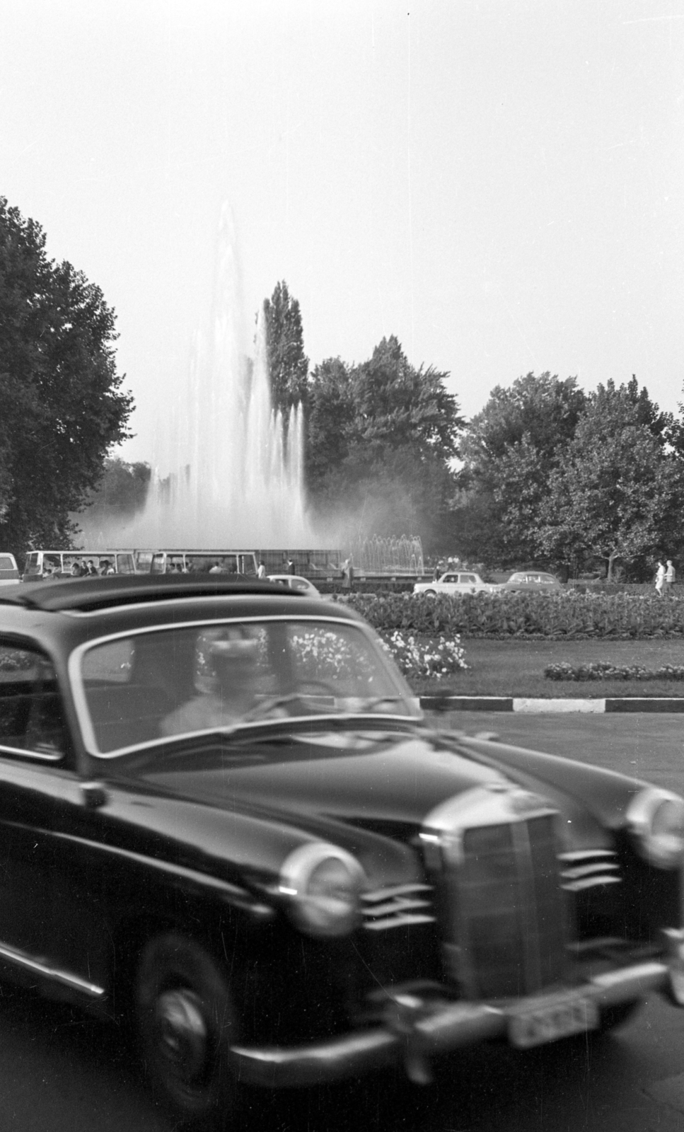 Hungary, Margit Islands, Budapest, szökőkút., 1967, Fortepan/Album020, Mercedes-brand, automobile, Fortepan #136101